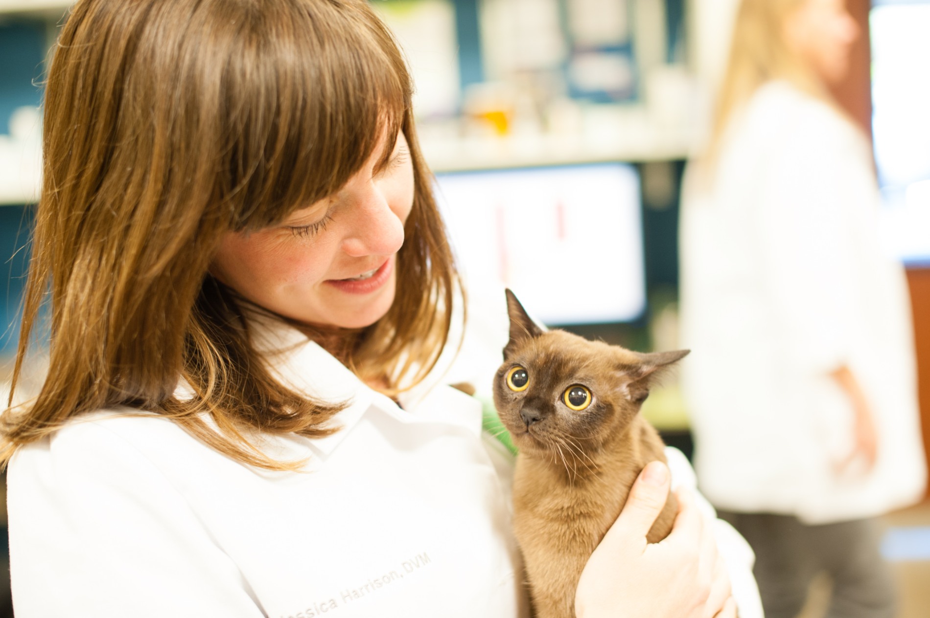Veterinary Careers In Denver, CO Goodheart Broadway