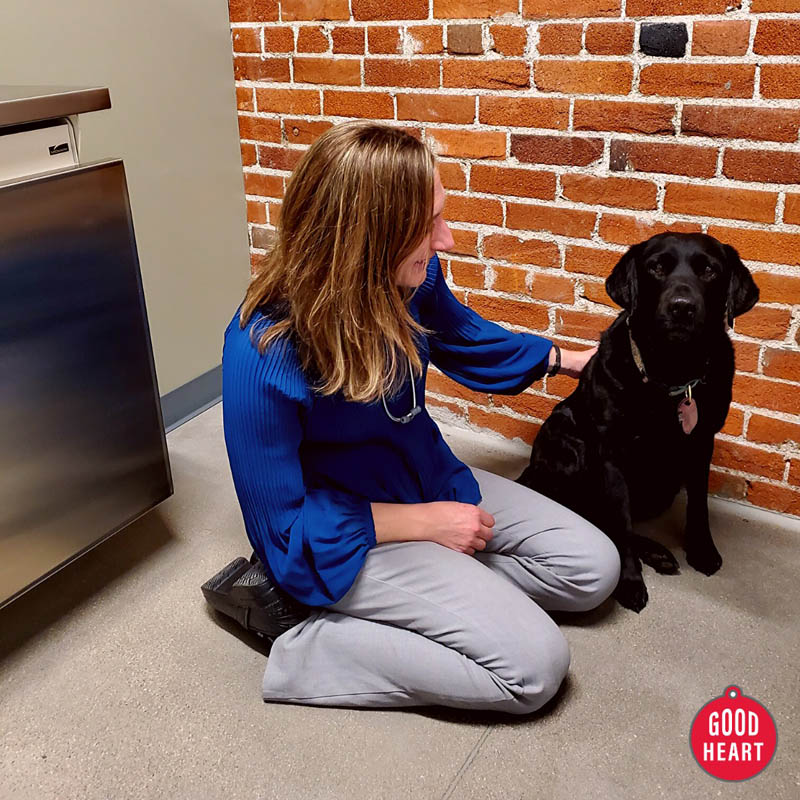 We customize visits to your pet’s individual needs to make them enjoyable