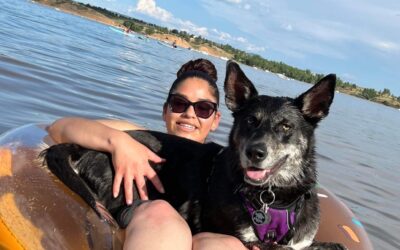Anchors Aweigh! Lake and Boating Pet Safety Tips  How planning ahead prevents accidents