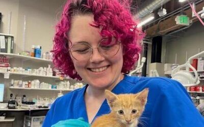 Love, Rescue, and Second Chances  3 good-hearted team members turned lost kittens into Valentines