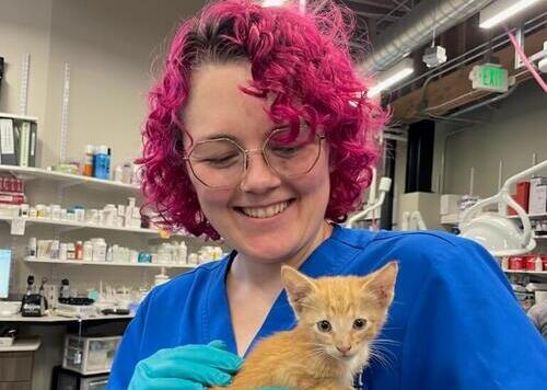 Love, Rescue, and Second Chances  3 good-hearted team members turned lost kittens into Valentines