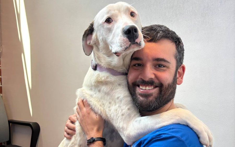 5 Ways to Support Pets With Separation Anxiety