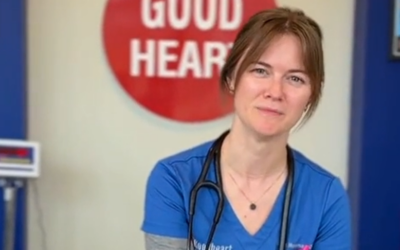 How Mobile Specialists Support Better Veterinary Care