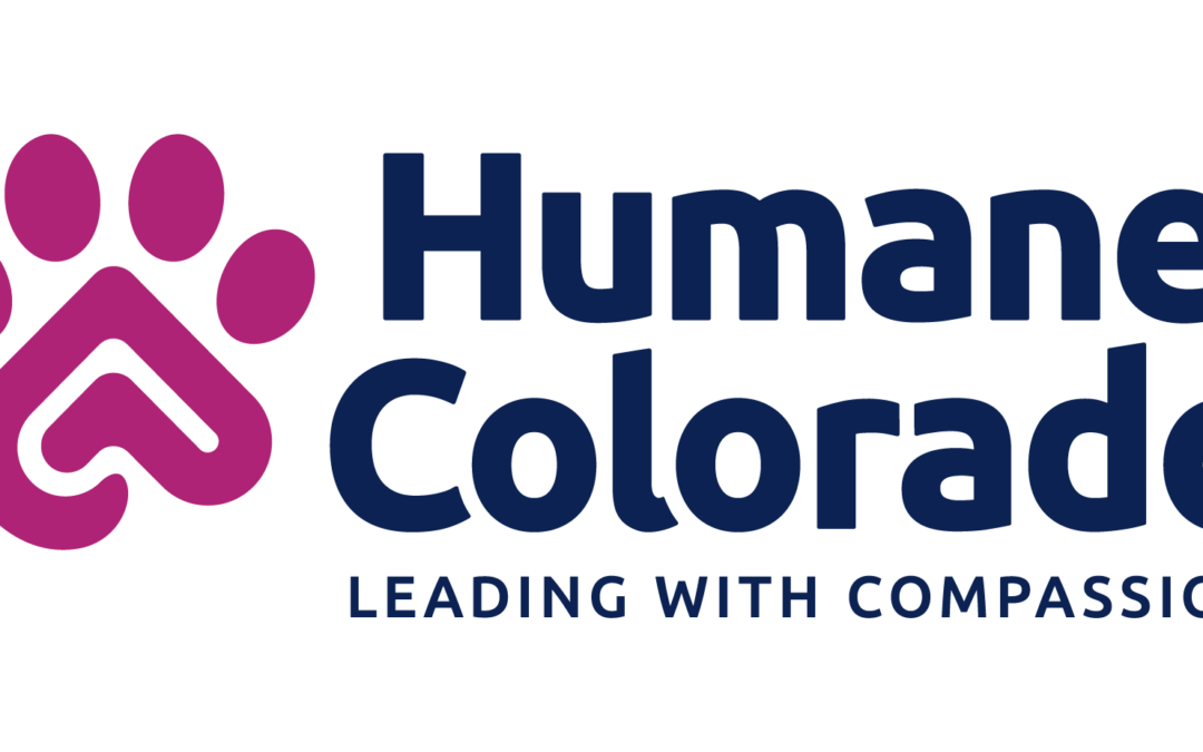 From Shelter to Home: Helping Colorado Pets Thrive